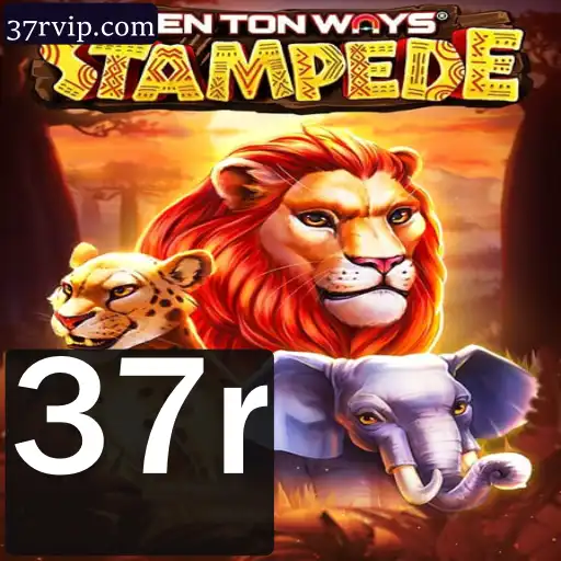 Descubra o Fascinante Mundo de TenTonWaysStampede