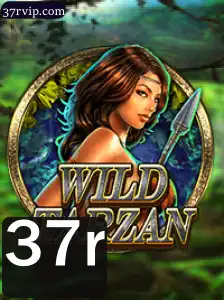 Explorando o Mundo de WildTarzan: Descrição e Regras do Jogo